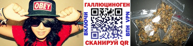 Псилоцибиновые грибы Psilocybine cubensis ссылка на мегу tor Приморско-Ахтарск что такое